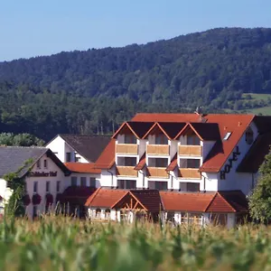 *** Hotel Hotel-restaurant Fränkischer Hof Deutschland